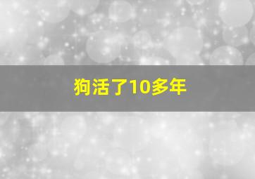 狗活了10多年