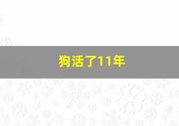 狗活了11年