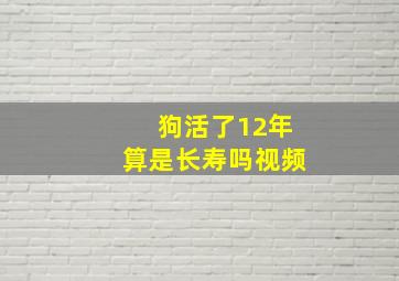 狗活了12年算是长寿吗视频