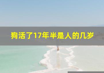 狗活了17年半是人的几岁