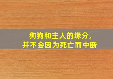 狗狗和主人的缘分,并不会因为死亡而中断