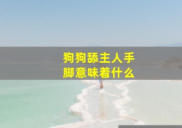 狗狗舔主人手脚意味着什么