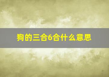 狗的三合6合什么意思