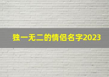 独一无二的情侣名字2023