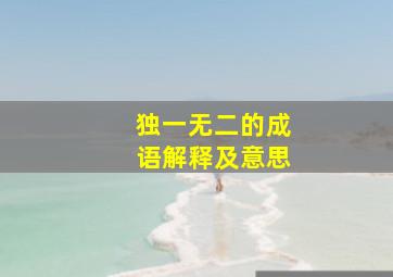 独一无二的成语解释及意思