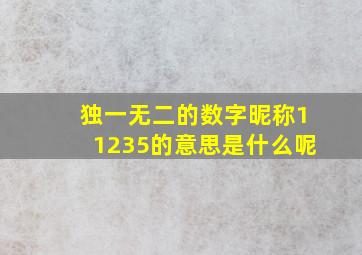 独一无二的数字昵称11235的意思是什么呢