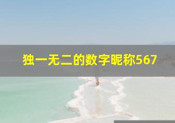 独一无二的数字昵称567