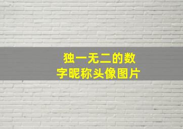 独一无二的数字昵称头像图片