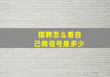 猎聘怎么看自己微信号是多少