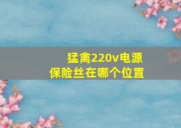 猛禽220v电源保险丝在哪个位置