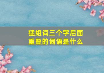 猛组词三个字后面重叠的词语是什么