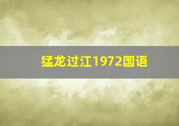 猛龙过江1972国语