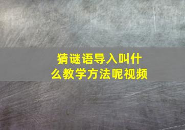 猜谜语导入叫什么教学方法呢视频