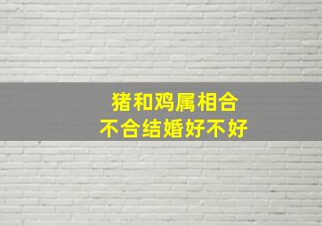 猪和鸡属相合不合结婚好不好