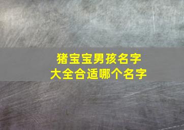 猪宝宝男孩名字大全合适哪个名字