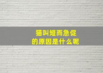 猫叫短而急促的原因是什么呢