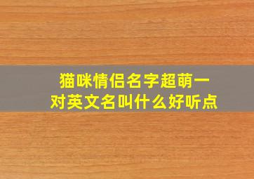 猫咪情侣名字超萌一对英文名叫什么好听点