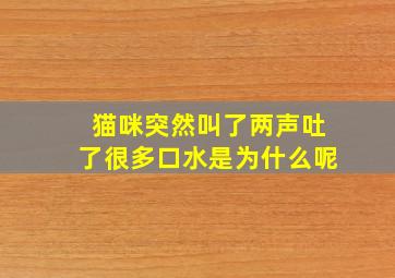 猫咪突然叫了两声吐了很多口水是为什么呢