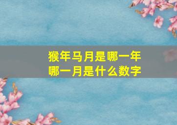 猴年马月是哪一年哪一月是什么数字