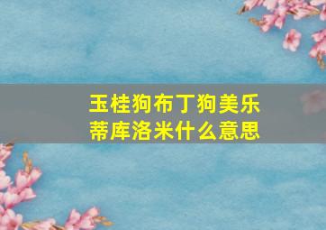 玉桂狗布丁狗美乐蒂库洛米什么意思