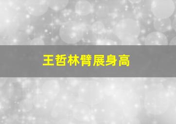 王哲林臂展身高