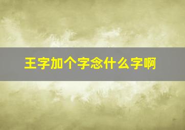 王字加个字念什么字啊