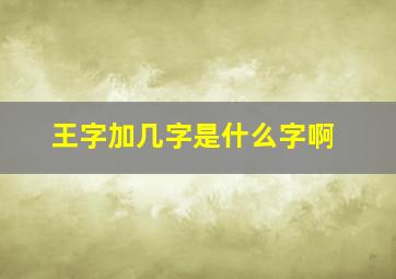 王字加几字是什么字啊