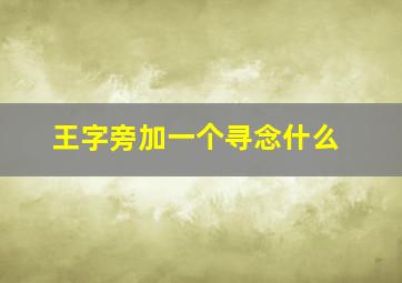 王字旁加一个寻念什么