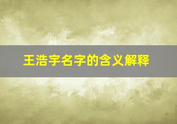 王浩宇名字的含义解释