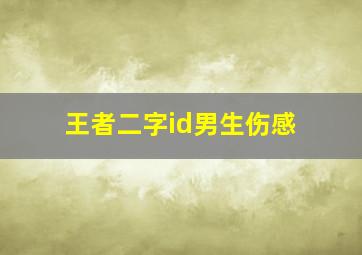 王者二字id男生伤感