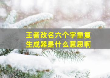 王者改名六个字重复生成器是什么意思啊