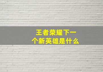 王者荣耀下一个新英雄是什么