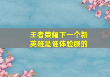 王者荣耀下一个新英雄是谁体验服的