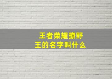 王者荣耀撩野王的名字叫什么