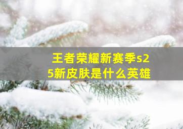 王者荣耀新赛季s25新皮肤是什么英雄