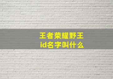 王者荣耀野王id名字叫什么