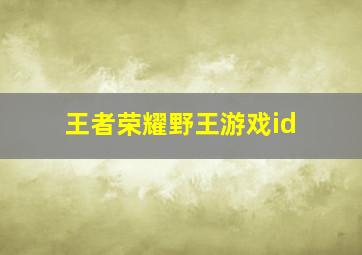 王者荣耀野王游戏id