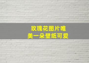 玫瑰花图片唯美一朵壁纸可爱