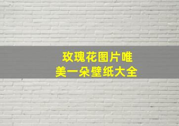 玫瑰花图片唯美一朵壁纸大全