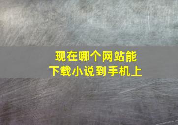 现在哪个网站能下载小说到手机上