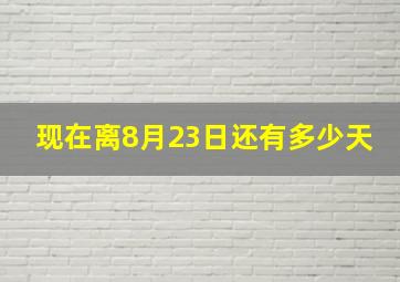 现在离8月23日还有多少天