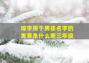 琛字用于男孩名字的寓意是什么呢三年级