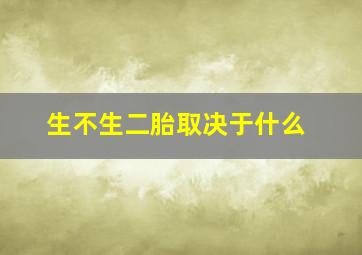 生不生二胎取决于什么