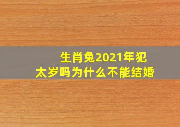 生肖兔2021年犯太岁吗为什么不能结婚