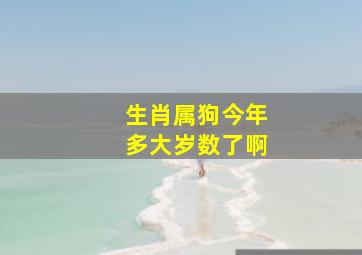 生肖属狗今年多大岁数了啊