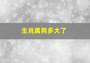 生肖属狗多大了