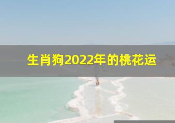 生肖狗2022年的桃花运