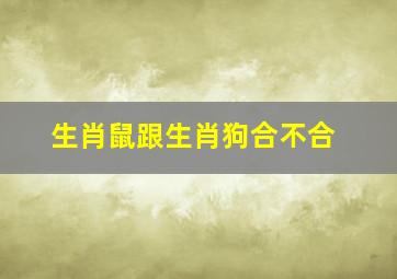 生肖鼠跟生肖狗合不合