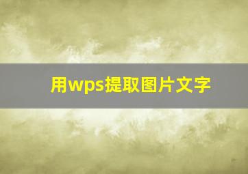 用wps提取图片文字