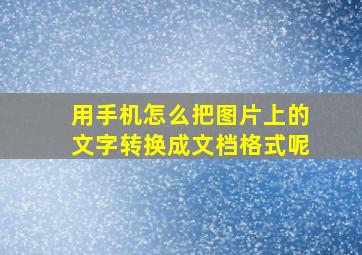 用手机怎么把图片上的文字转换成文档格式呢